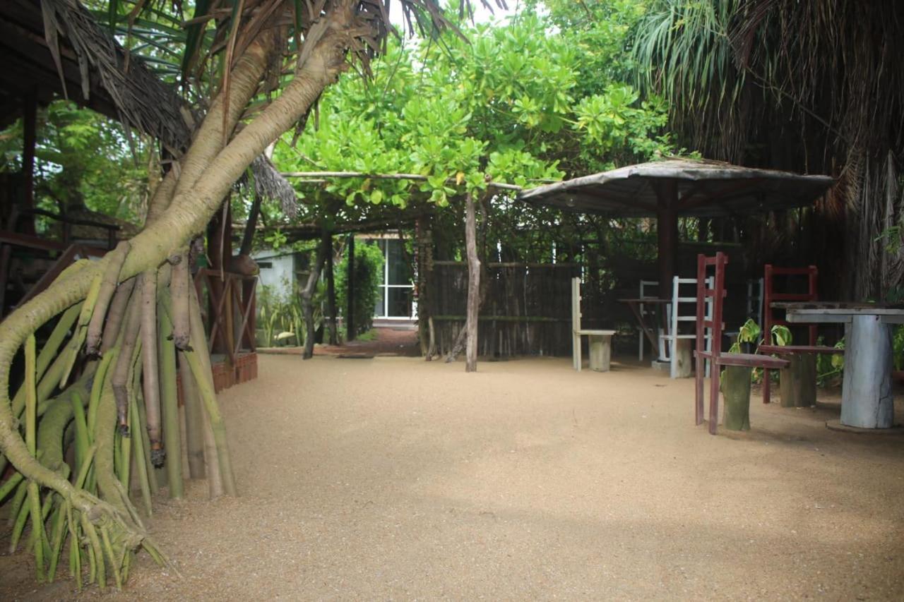 Happy Cocos Beach House Васкадува Экстерьер фото